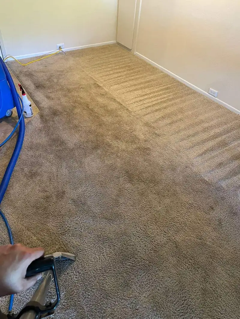 Real job photo: empty bedroom with tan carpet in the middle of a cleaning, a cleaned stripe down the center and a gloved hand holding the extractor wand at the lower left.